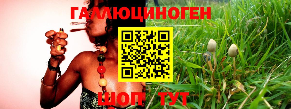 Галлюциногенные грибы мицелий Углич