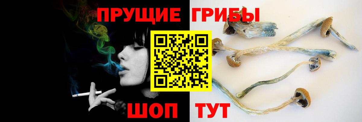 Псилоцибиновые грибы Cubensis  Галлюциногенные грибы мицелий  купить закладку  Углич  Вход с VPN 
